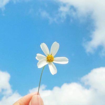 星空传奇游戏下载
